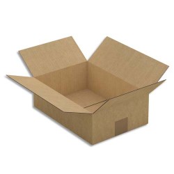 Paquet de 25 caisses américaines simple cannelure en kraft brun - Dim. : 31 x 10 x 21,5 cm