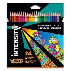 BIC Pochette de 24 feutres de coloriage INTENSITY UP assortis