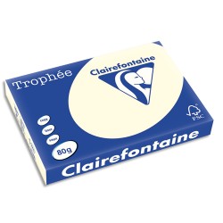 CLAIREFONTAINE Ramette de 500 feuilles papier couleur TROPHEE 80 grammes format A3 Gris perle 1251