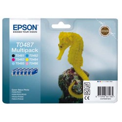 EPSON Pack de 6 cartouches couleurs Jet d'encre C13ST0487401