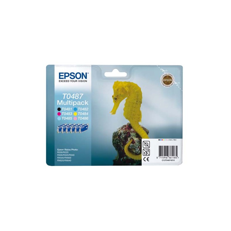 EPSON Pack de 6 cartouches couleurs Jet d'encre C13ST0487401