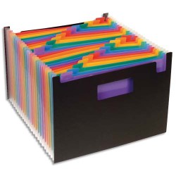 VIQUEL Trieur Seatcase Rainbow 24 compartiments, en polypro 7/10e, 2 poignées, Noir intérieur multicolore