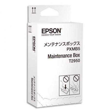EPSON récupérateur d'encre C13T295000