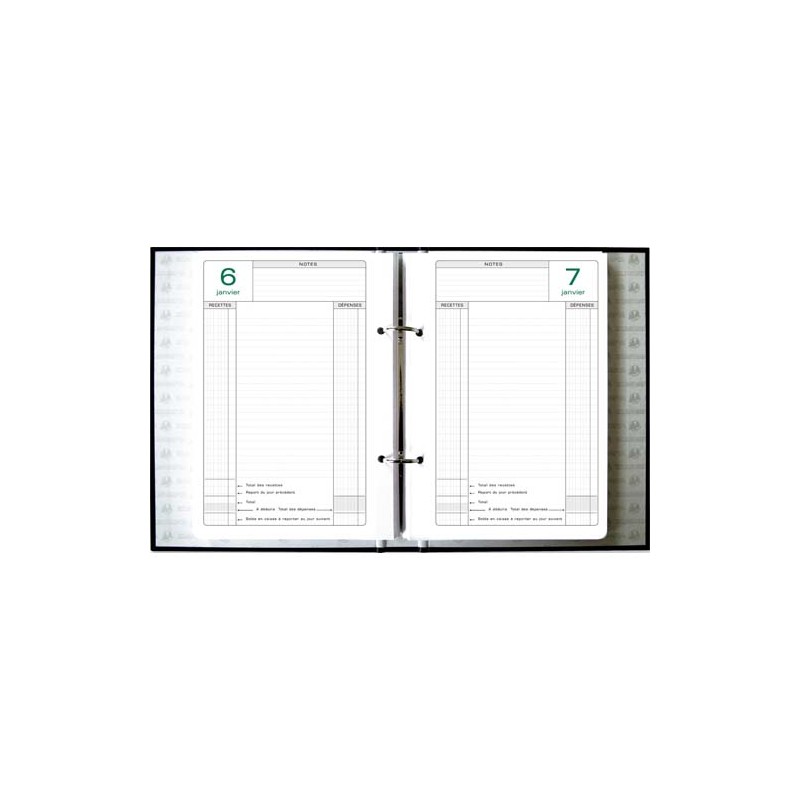 EXACOMPTA Recharge pour classeur Caisse perpétuel 1 jour par page - format : 16 x 24 cm