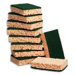 TAMPON JEX Lot de 10 tampon-éponges végétales rectangulaires Vert