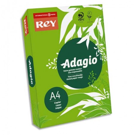 INAPA Ramette 500 feuilles papier couleur intense ADAGIO Vert intense A4 80g