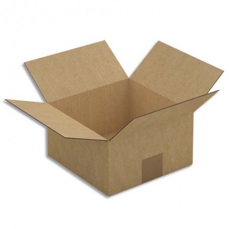 Paquet de 25 caisses américaines en carton brun simple cannelure - Dim. : L20 x H11 x P20 cm