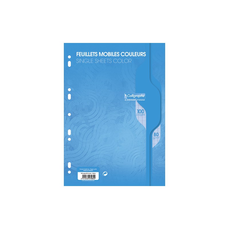 CALLIGRAPHE Copies simples Bleu perf 2 trous 80g 100 pages grands carreaux Séyès format A4. Film-CAL 7000