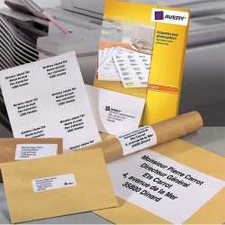 AVERY Boîte de 1000 étiquettes copieur 105X58 Blanc DP010-100