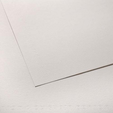 CANSON Feuille de papier dessin C A GRAIN 224g 50x65cm