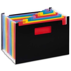 VIQUEL Trieur Seatcase RAINBOW 13 compartiments, en polypro 7/10e, 2 poignées, Noir intérieur multicolore