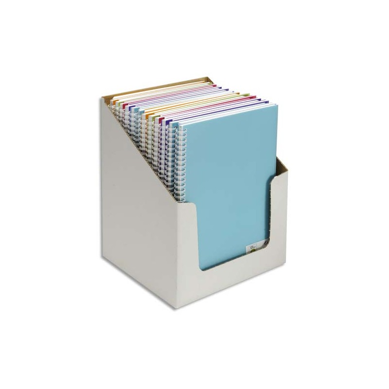 CANSON Carnets de notes 100 pages 120g 21x29,7cm. Couverture PP assorties (en boîte présentoir)
