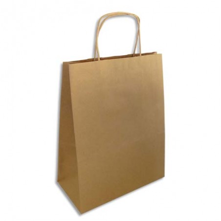 Paquet de 250 sacs en papier Kraft brun - Dimensions : L24 x H31 x P12 cm