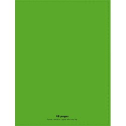 CONQUERANT C9 Cahier piqûre 24x32cm 48 pages 90g grands carreaux Séyès. Couverture polypropylène Vert