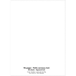 CONQUERANT C9 Cahier piqûre 24x32cm 96 pages 90g quadrillé 5x5. Couverture polypropylène incolore