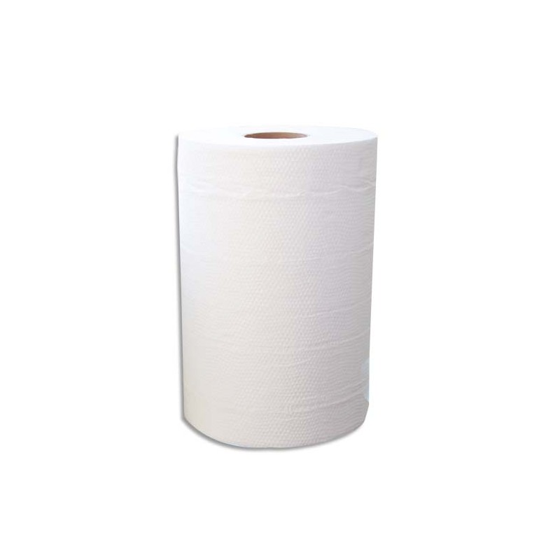Lot de 2 Bobines d'essuyage 2 plis 150 formats 25 x 19,5 cm - L37,5 m,bobine D11,5 cm Blanc Eco