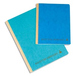 LE DAUPHIN Piqûre recettes/dépenses format A5 22x17cm 80 pages. Coloris assortis