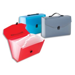 VIQUEL Trieur valise 24cmpts Propyglass PP 10/10 translucide. Coloris assortis Bleu, Rouge, Gris