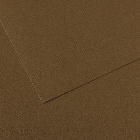 CANSON Manipack de 25 feuilles papier dessin MI-TEINTES 160g 50x65cm Marron