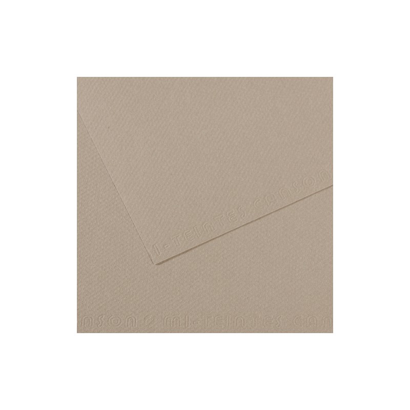 CANSON Manipack de 25 feuilles papier dessin MI-TEINTES 160g 50x65cm Gris flanelle