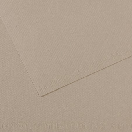 CANSON Manipack de 25 feuilles papier dessin MI-TEINTES 160g 50x65cm Gris flanelle