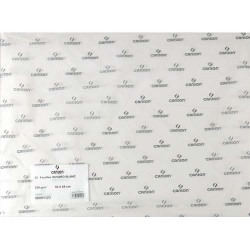 CANSON Feuille de papier buvard 250g 50x65cm Blanc Ref-91123