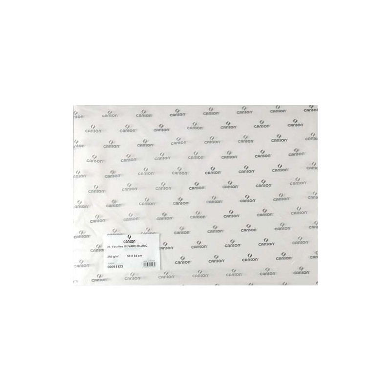 CANSON Feuille de papier buvard 250g 50x65cm Blanc Ref-91123