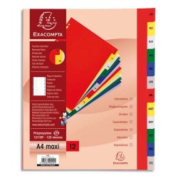 EXACOMPTA Jeu d'intercalaires mensuelles en polypropylène. 12 touches multicolores. Format A4+.