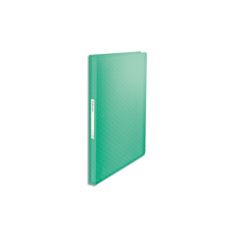 ESSELTE Protège-documents Colour ice 80 pochettes, 160 vues, en polypropylène 5/10ème. Coloris Vert