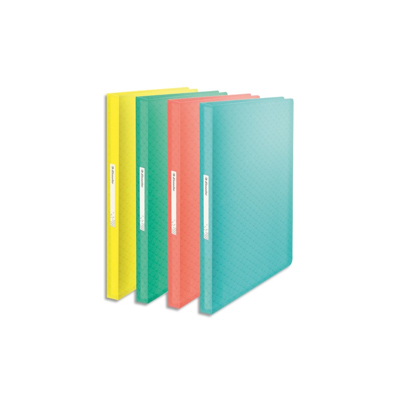 ESSELTE Protège-documents Colour ice 80 pochettes, 160 vues, en polypropylène 5/10ème. Coloris assortis